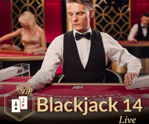 Blackjack VIP 14