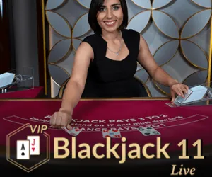 Blackjack VIP 11