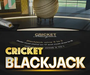 Cricket Blackjack