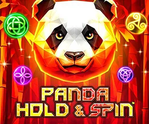 Panda Hold And Spin