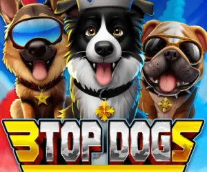 3 Top Dogs