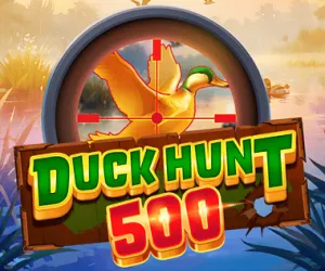 Duck Hunt 500