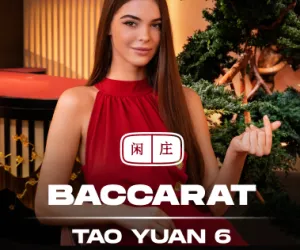 Tao Yuan Baccarat 6