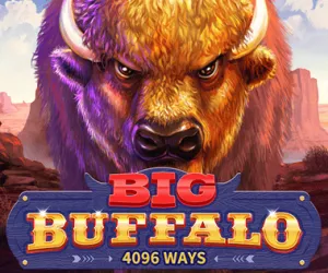 Big Buffalo