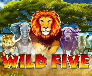 Wild Five