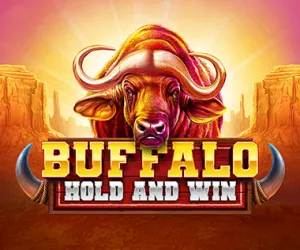 Buffalo Hold and Win