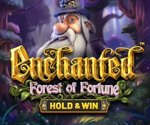 Enchanted: Forest Of Fortune