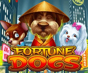 Fortune Dogs