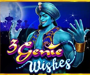 3 Genie Wishes