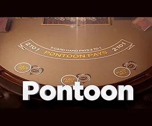 Pontoon 21