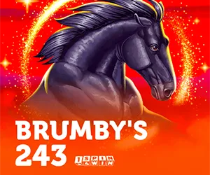 Brumby's 243