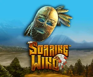 Soaring Wind