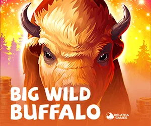 Big Wild Buffalo