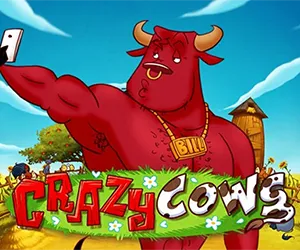 Crazy Cows