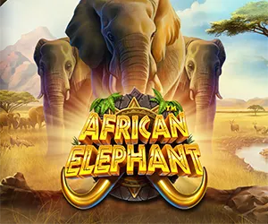 African Elephant
