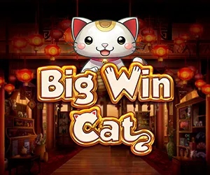 Big Win Cat