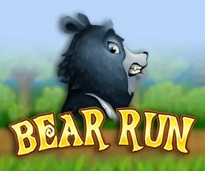 Bear Run