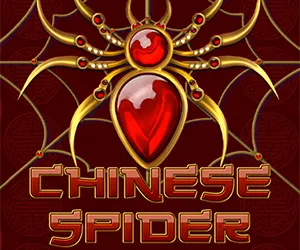 Chinese Spider