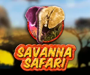 Savanna Safari