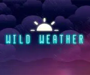 Wild Weather
