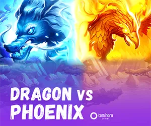 Dragon VS Phoenix