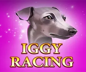 Iggy Racing