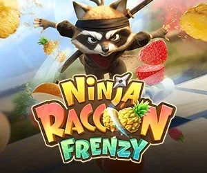 Ninja Raccoon Frenzy