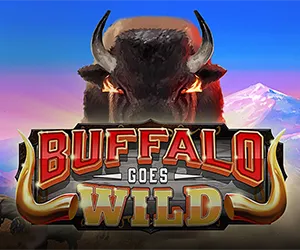 Buffalo Goes Wild
