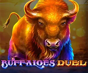 Buffaloes Duel