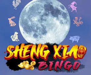 Sheng Xiao Bingo