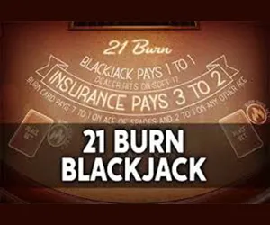 21 Burn Blackjack
