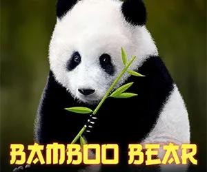 Bamboo Bear