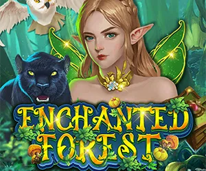 Enchanted Forest