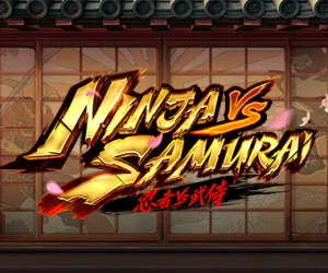 Ninja vs Samurai