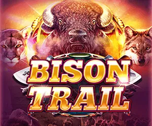 Bison Trail