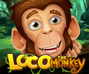 Loco the Monkey