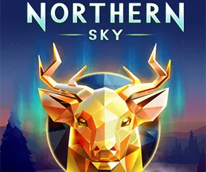 Northern Sky