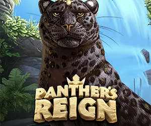 Panther's Reign