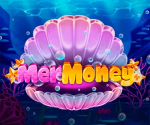 MerMoney