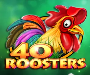 40 Roosters