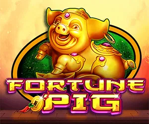 Fortune Pig