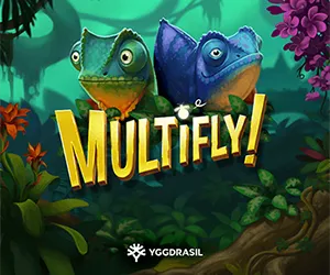 Multifly