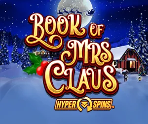 Book Of Mrs Claus