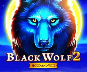 Black Wolf 2