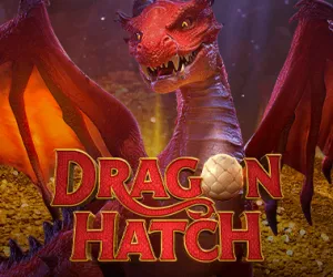 Dragon Hatch
