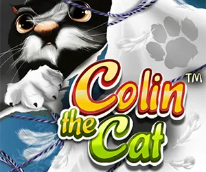 Colin The Cat