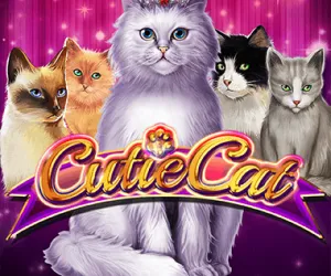 Cutie Cat