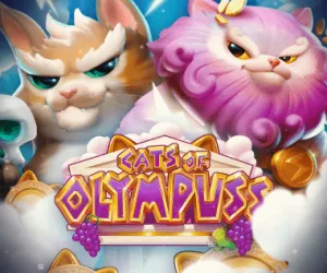 Cats of Olympuss