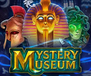 Mystery Museum