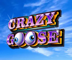 Crazy Goose